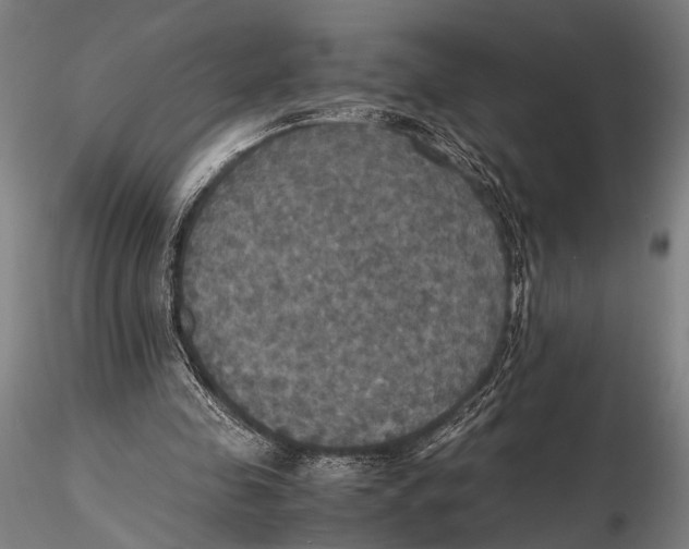 X0000115390341200912011233