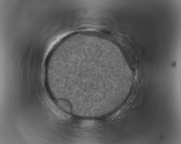 X0000115390342200912011233