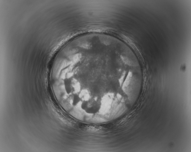 X0000115390346200912011233