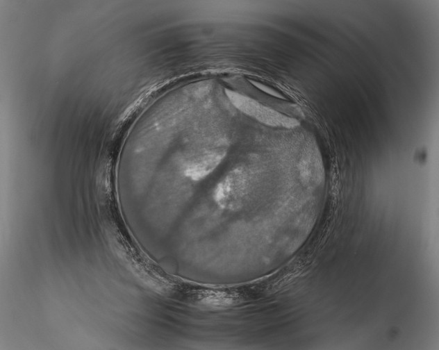 X0000115390347200912011233