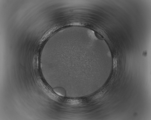 X0000115390349200912011233