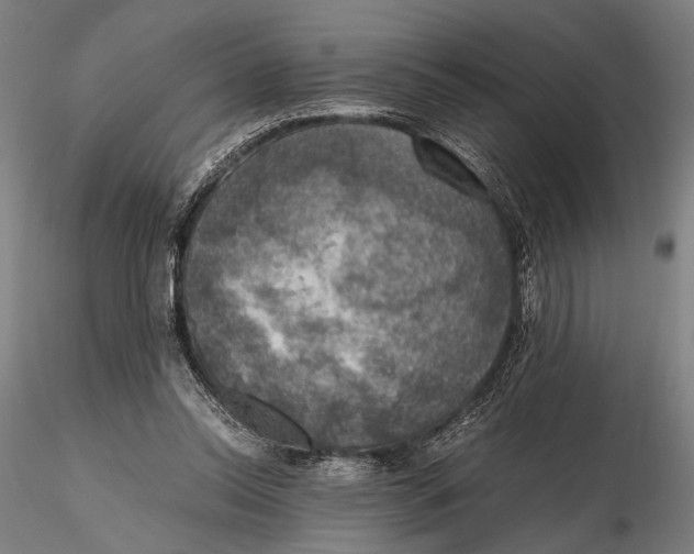 X0000115390350200912011233