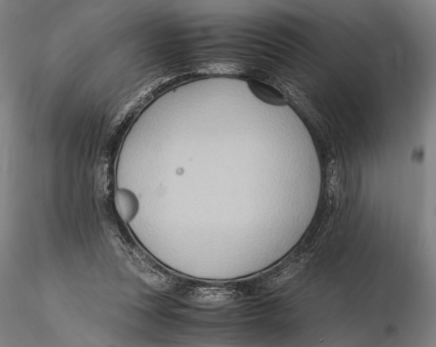 X0000115390351200912011233