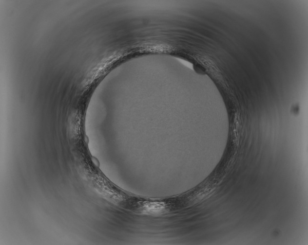 X0000115390355200912011233