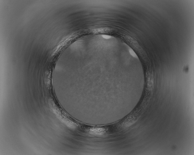 X0000115390357200912011233