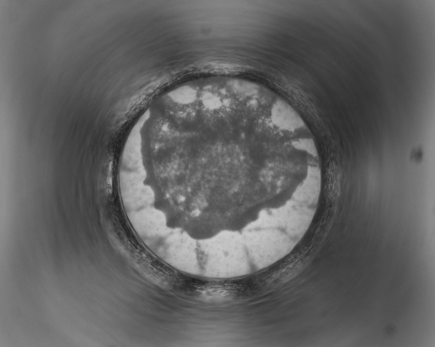 X0000115390358200912011233