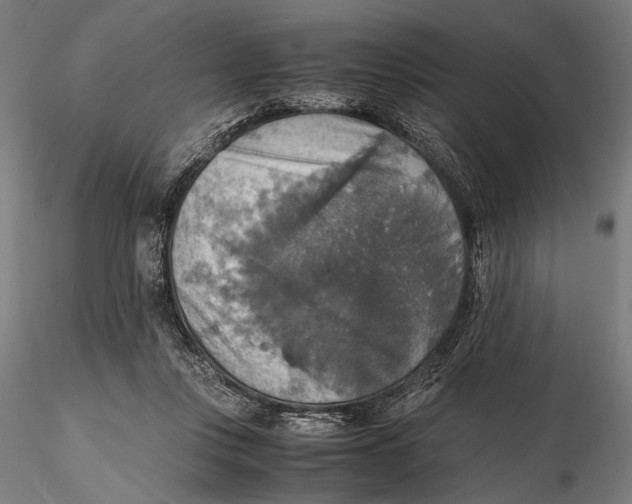 X0000115390359200912011233