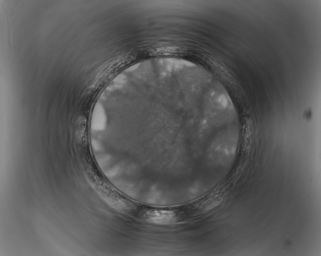 X0000115390361200912011233