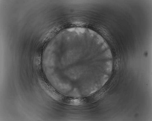 X0000115390365200912011233