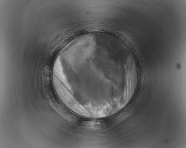 X0000115390366200912011234