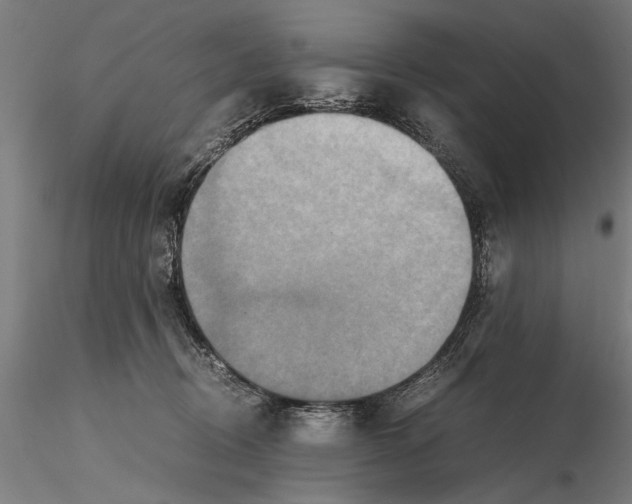 X0000115390370200912011234