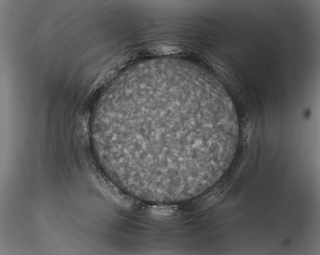 X0000115390373200912011234