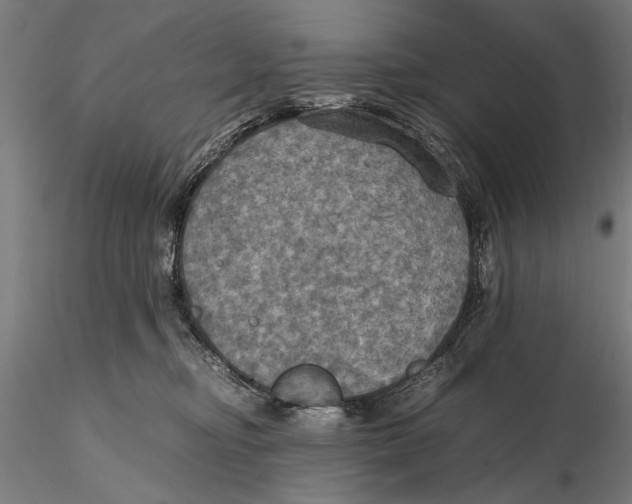 X0000115390374200912011234