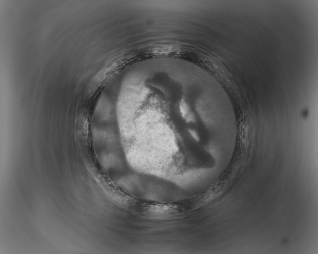 X0000115390375200912011234