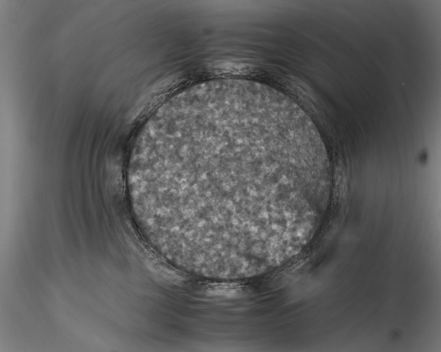 X0000115390377200912011234