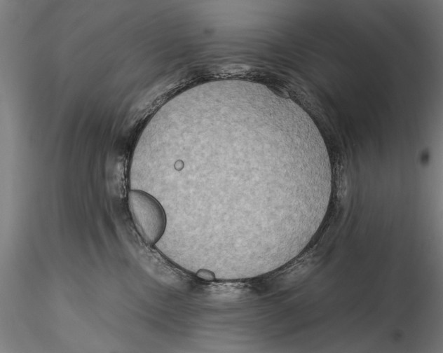 X0000115390378200912011234