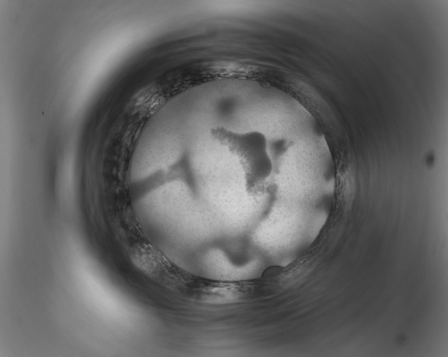 X0000115390381200912011234