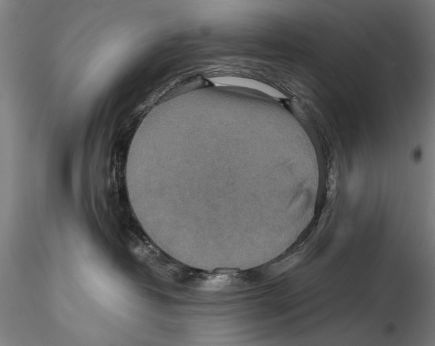 X0000115390382200912011234