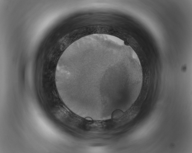 X0000115390383200912011234