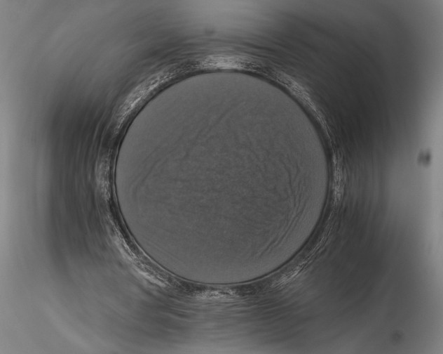 X0000115390386200912011233