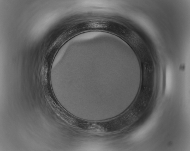 X0000115390387200912011233