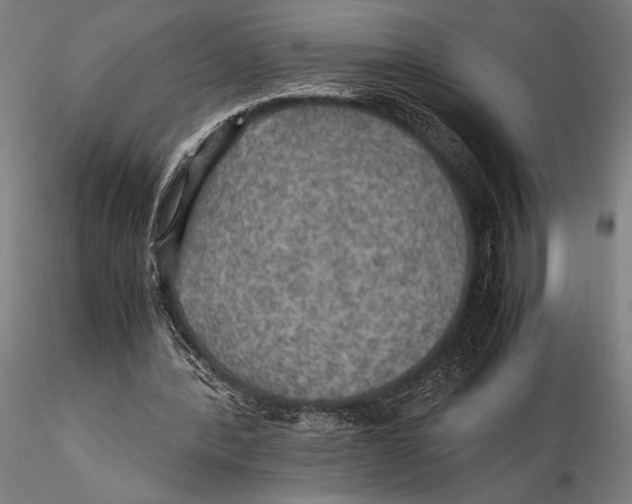 X0000115390388200912011233