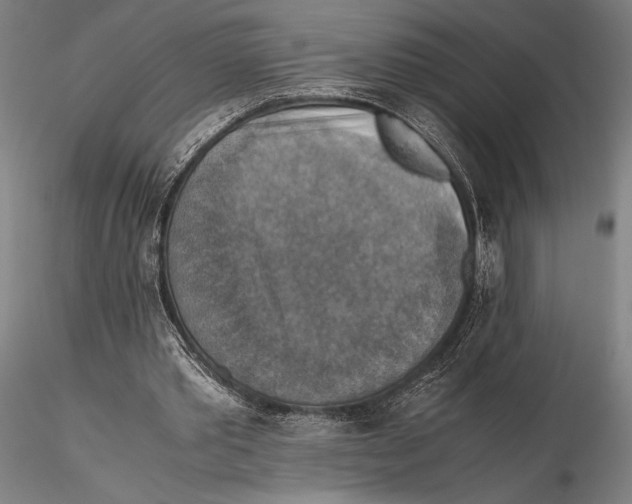 X0000115390389200912011233