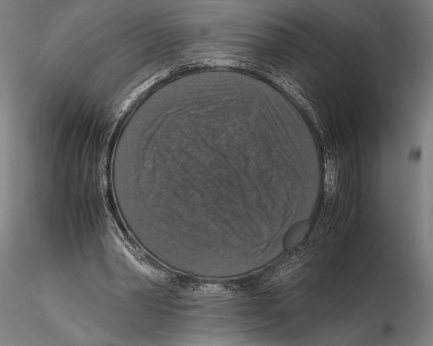 X0000115390390200912011233