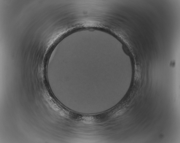 X0000115390391200912011233