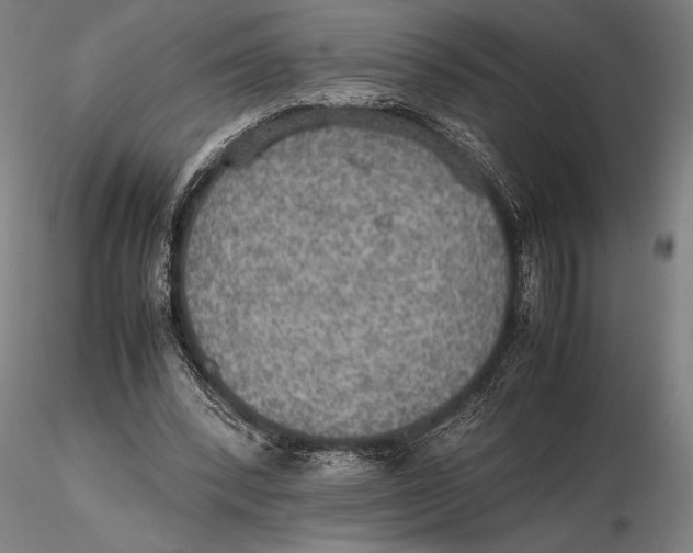 X0000115390392200912011233