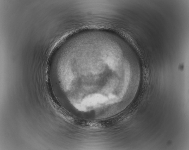 X0000115390395200912011233