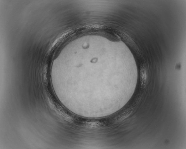 X0000115390396200912011233