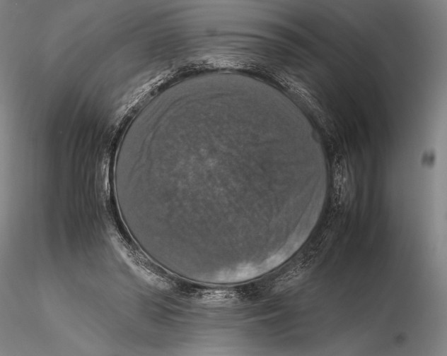 X0000115390398200912011233