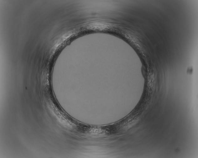 X0000115390399200912011233