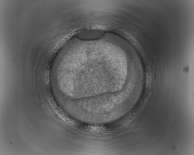 X0000115390401200912011233