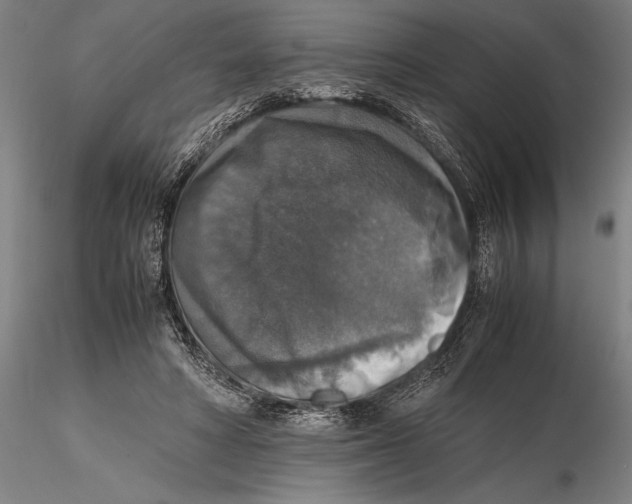 X0000115390402200912011233