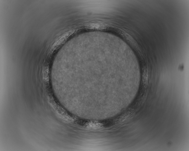 X0000115390403200912011233