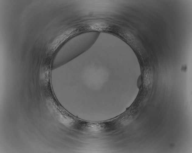 X0000115390405200912011233