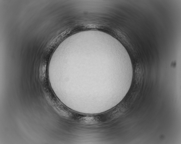 X0000115390406200912011233