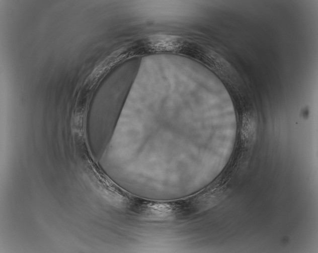 X0000115390409200912011233