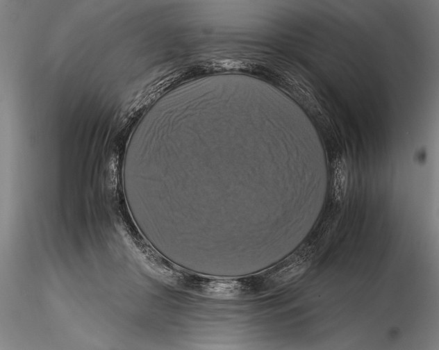 X0000115390410200912011233