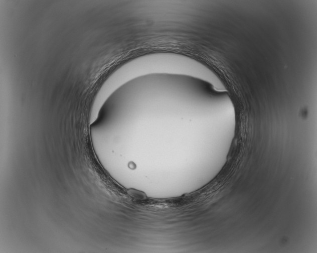 X0000115390411200912011233