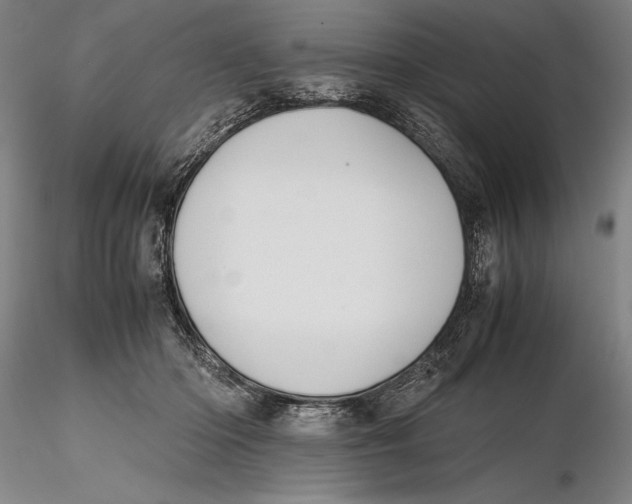 X0000115390414200912011233