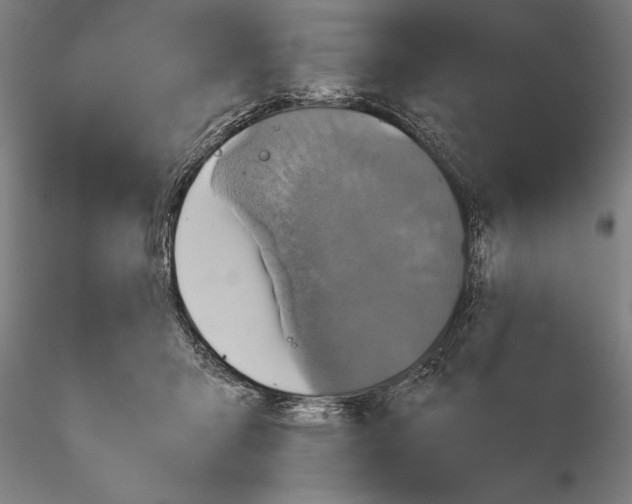 X0000115390415200912011233