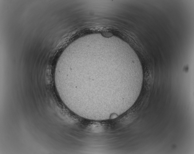 X0000115390416200912011233