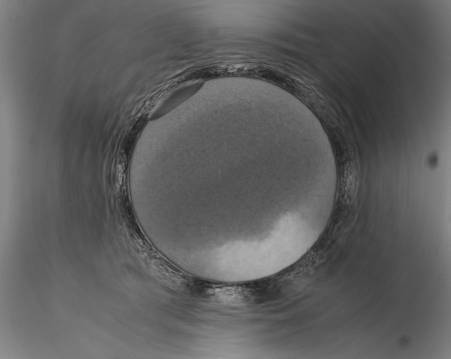 X0000115390417200912011233