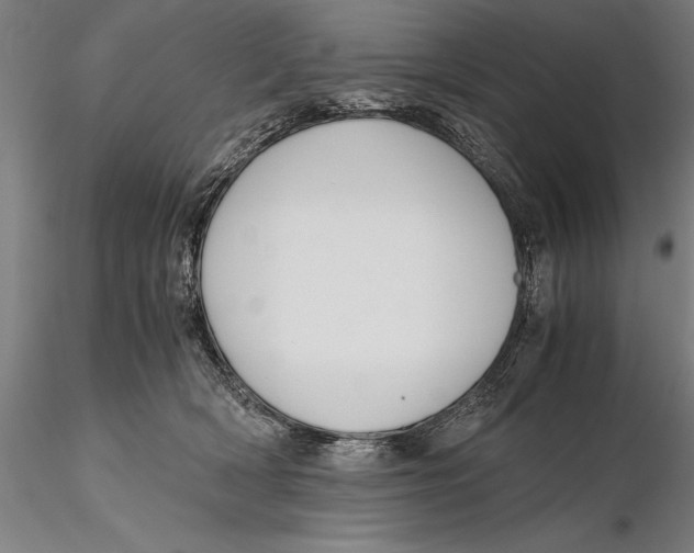 X0000115390418200912011233