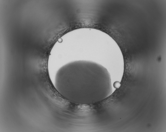 X0000115390419200912011233