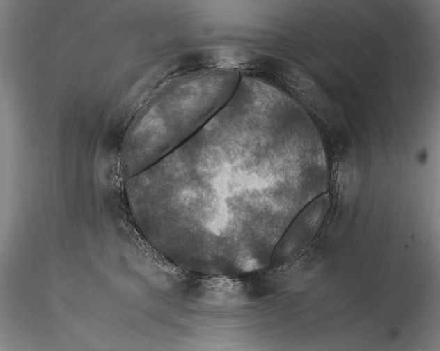 X0000115390421200912011233