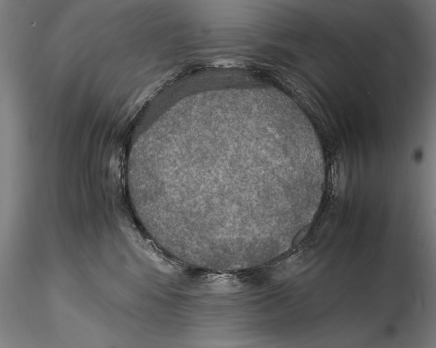 X0000115390424200912011233